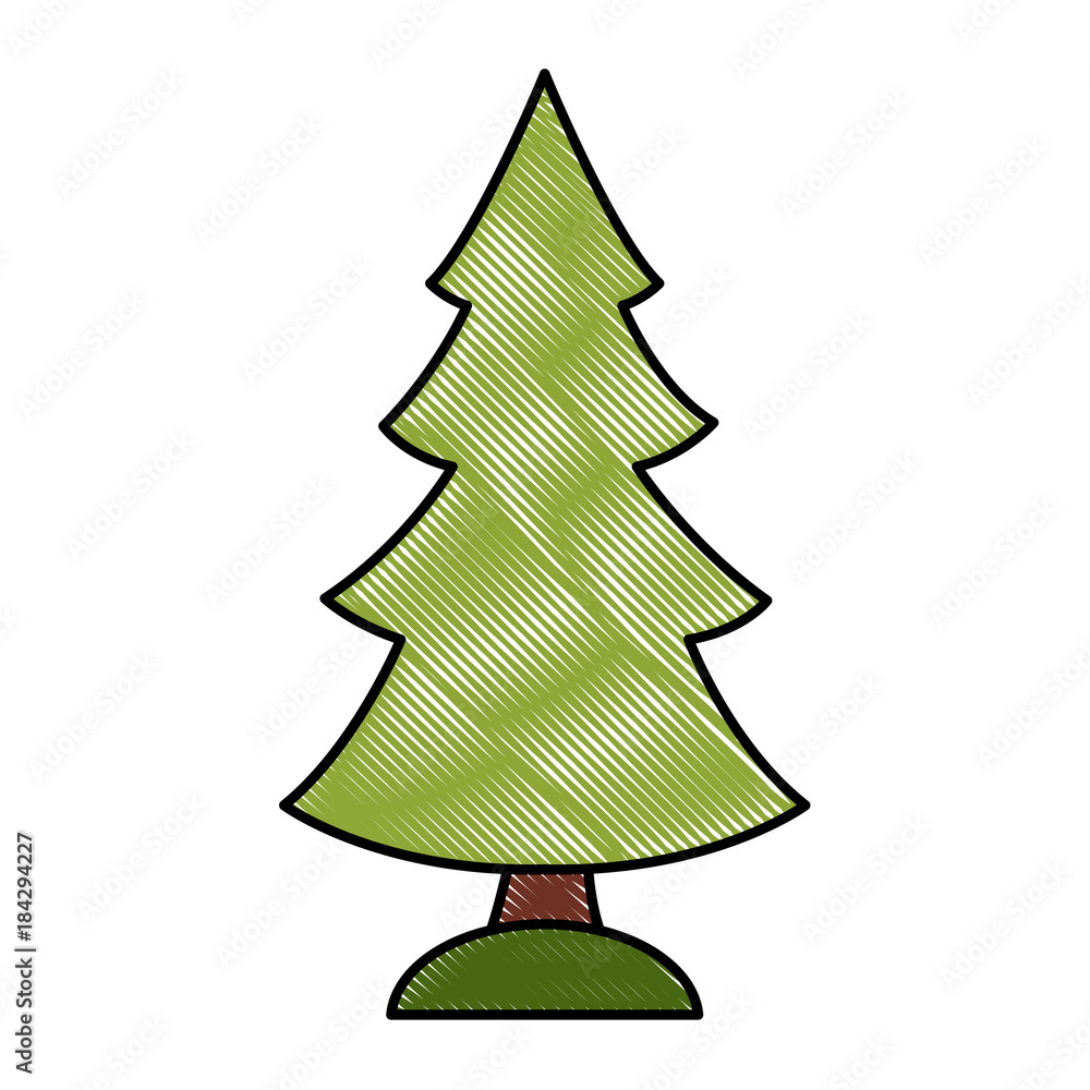 Fototapeta premium Tree pine isolated icon vector illustration graphic design