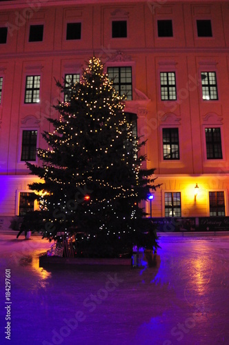 Winterliche Eisbahn mit Tannenbaum in der Dresdner Altstadt photo