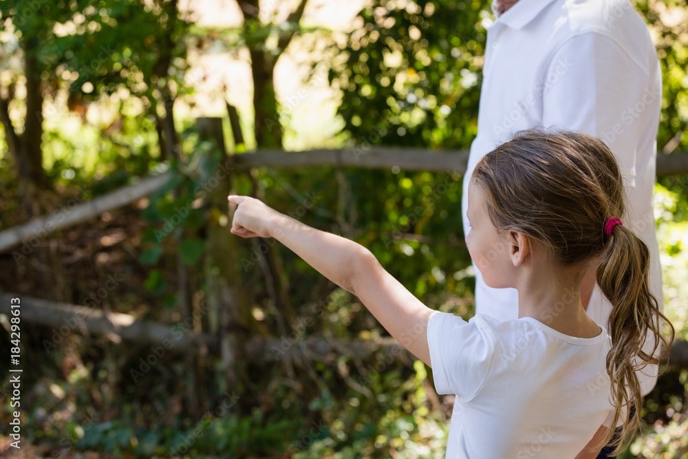 Girl with her grandfather pointing at a distance in the forest Girl with her grandfather pointing at a distance in the forest