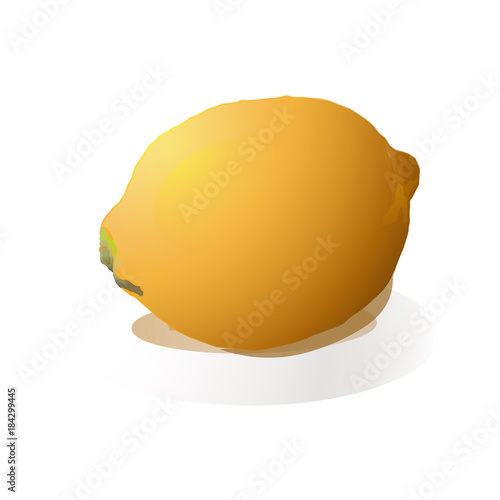 Vector illustration of lemon in a picturesque style on a light gray background