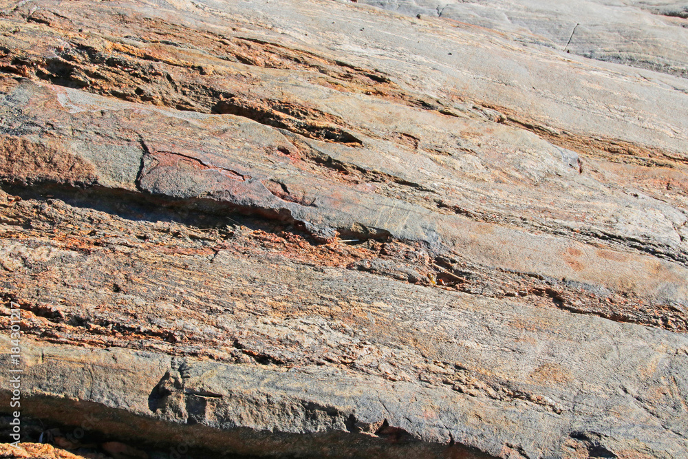 Foto de Glacial scratches in bedrock, Pelham Bay Park, NYC do Stock