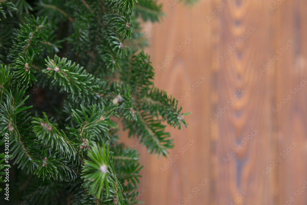 Background with fir tree and wood Background with fir tree and wood