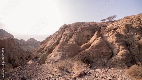 Desert mountains near the sea with little trees on the top