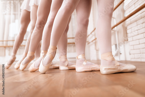 Εκτύπωση καμβά Girls ballet dancers rehearse in ballet class.