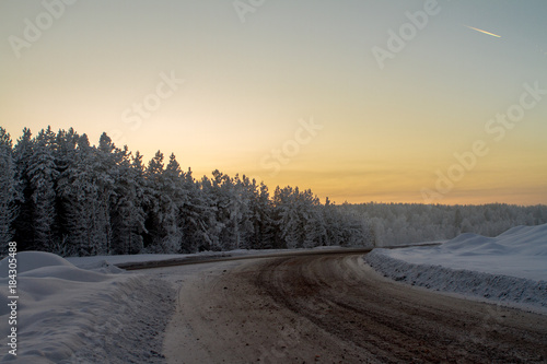 dirty road through a snowy forest