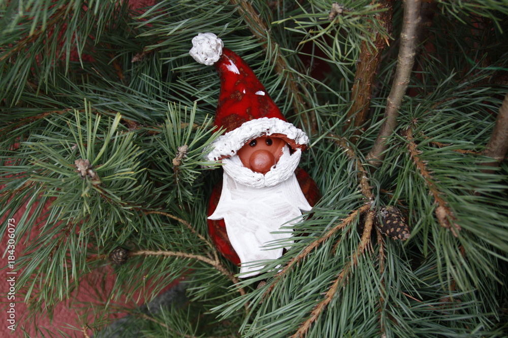 nikolaus nikolaus