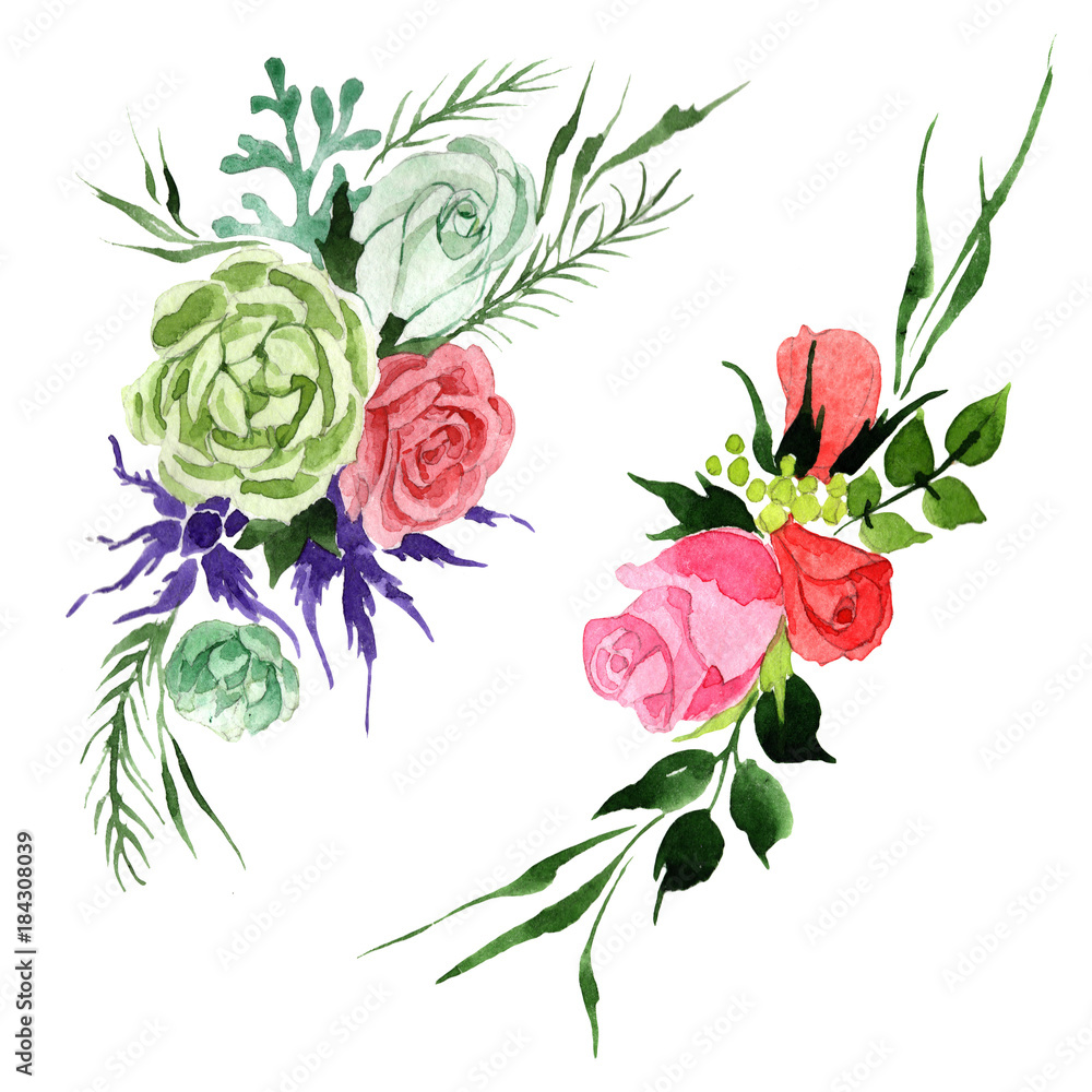 Bouquet flower in a watercolor style isolated. Full name of the plant: rosa, hulthemia. Aquarelle wild flower for background, texture, wrapper pattern, frame or border. Bouquet flower in a watercolor style isolated. Full name of the plant: rosa, hulthemia. Aquarelle wild flower for background, texture, wrapper pattern, frame or border.