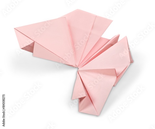 Butterfly Origami