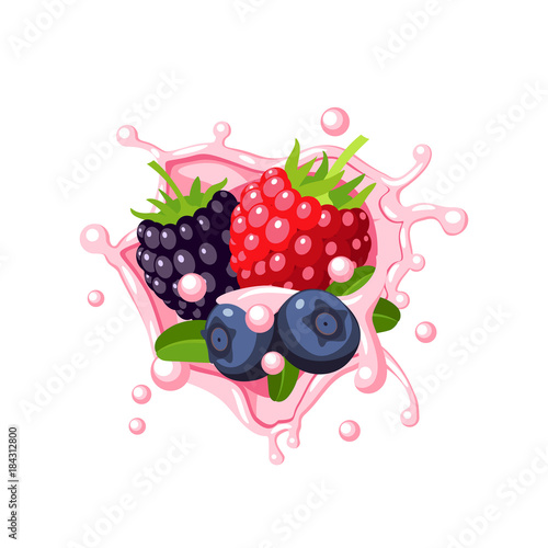 Colorful fruit design. Raspberry, blueberry, blackberry in pink milk splash burst. Vector illustration cartoon flat icon isolated on white.