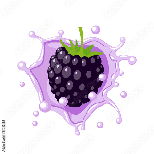 Colorful fruit design. Blackberry in lilac-colored milk splash burst. Vector illustration cartoon flat icon isolated on white.