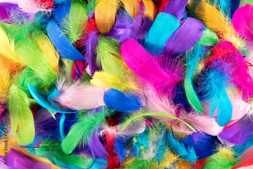 Background texture of brightly colored feathers