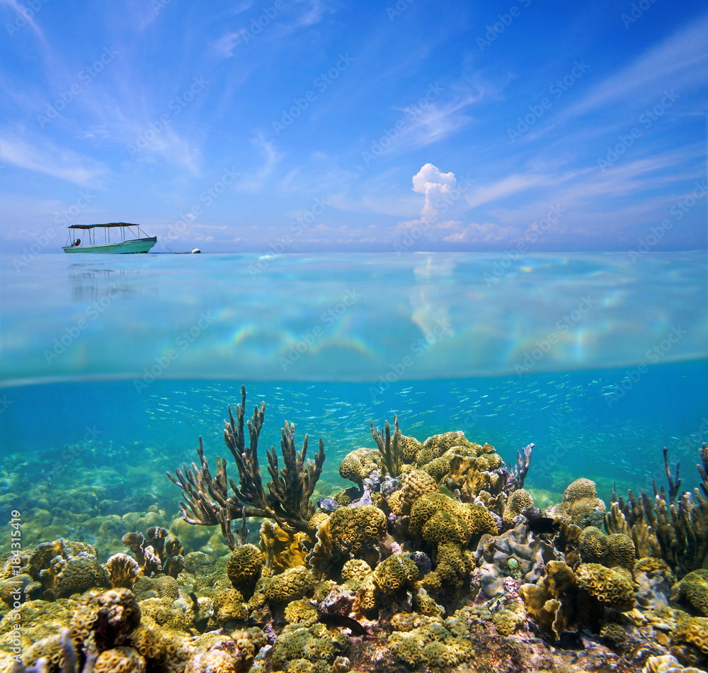 Split view above and under the sea with a coral reef on the ocean floor and blue sky with a boat