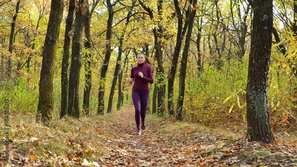 Slow motion Running - woman runner jogging on autumn forest path. Fit female sport fitness model athlete trail running training. Runner girl in sportswear running in park exercising outdoors. Slow motion Running - woman runner jogging on autumn forest path. Fit female sport fitness model athlete trail running training. Runner girl in sportswear running in park exercising outdoors.