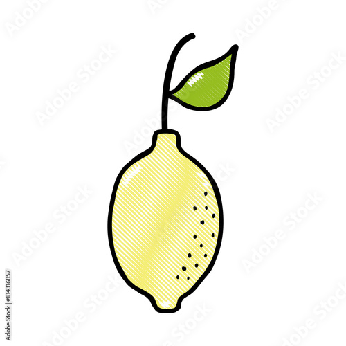 grated delicious lemon fresh and organic fruit