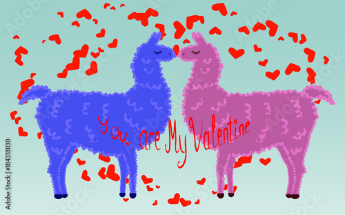 Two lovers, kissing llamas surrounded by hearts. Love is in the air. Inscription You are my Valentine, postcard, Valentine's day