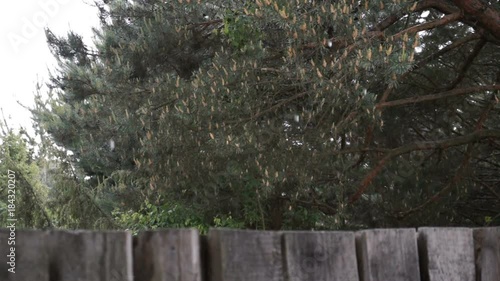 it is raining falling drops