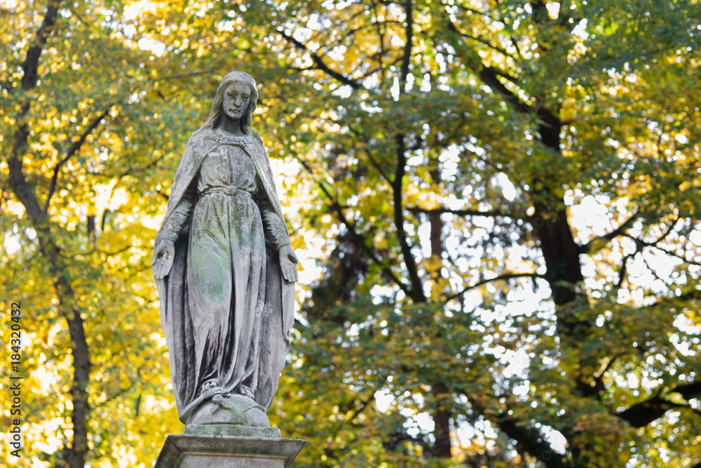 Fototapeta premium Statue of Mary Mother of God, at autumn tree backgroung, copy space. Religious symbol.