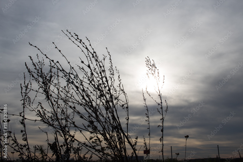 Fototapeta premium landschaft