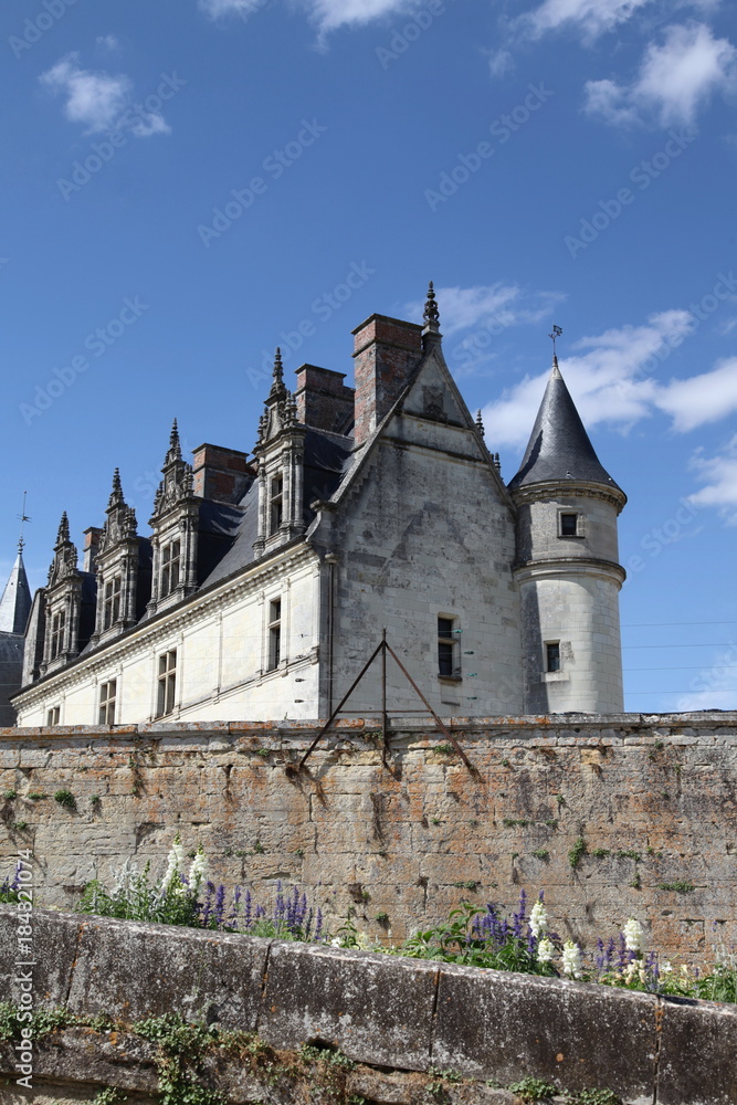 Fototapeta premium Allée qui mène au Château d'Amboise.