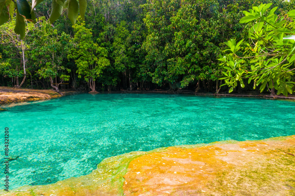 emerald pool is located in the jungles of Krabi in Thailand - a landmark country