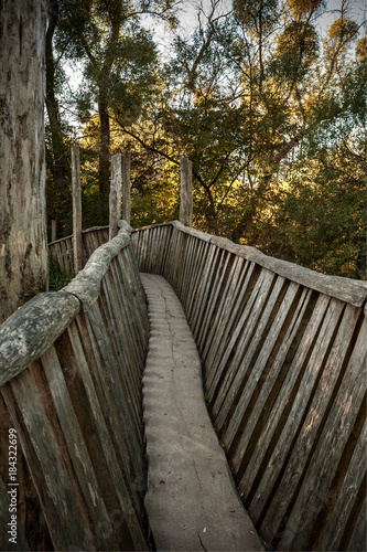 Holzbrücke im Herbstwald