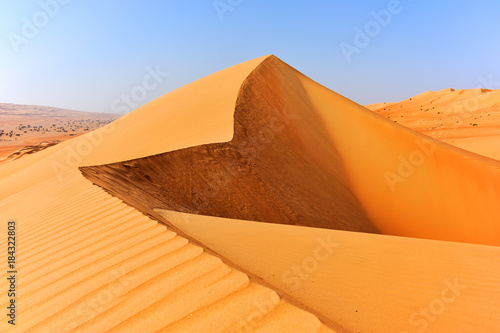 Dunes in Sharqiya Sands, desert of Oman