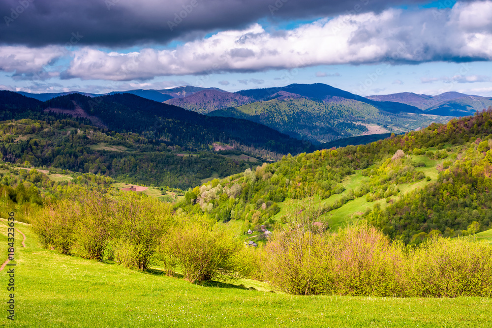 grassy rural fields in mountainous area. beautiful countryside landscape under the cloudy sky