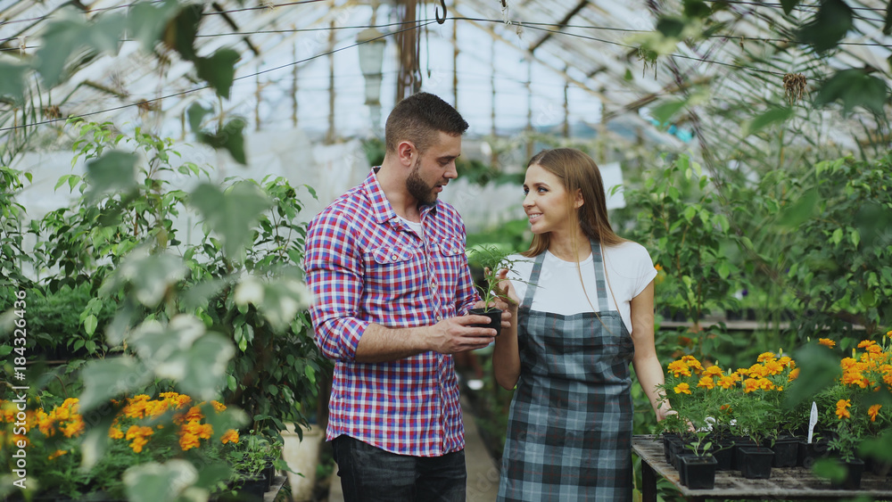 Young friendly woman florist talking to customer and giving him advice while working in garden center Young friendly woman florist talking to customer and giving him advice while working in garden center