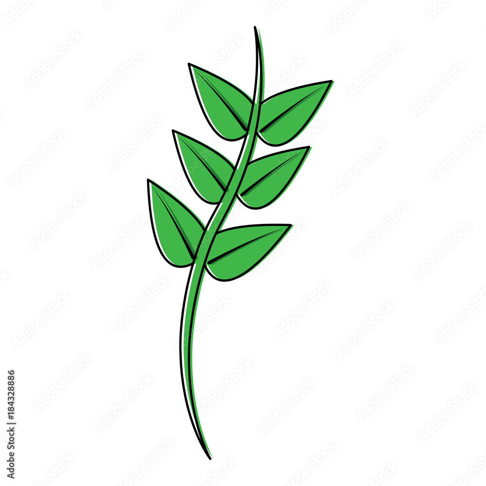 Fototapeta premium green floral decorative branch leaves plant icon pictogram vector illustration