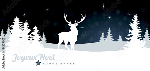 JOYEUX NOËL ET BONNE ANNÉE AVEC RENNE