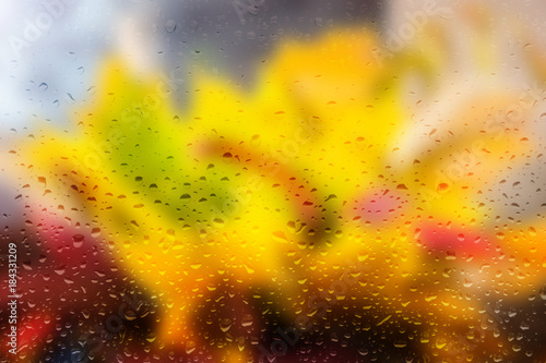 Fogged up glass with many drops  autumn leaves as background