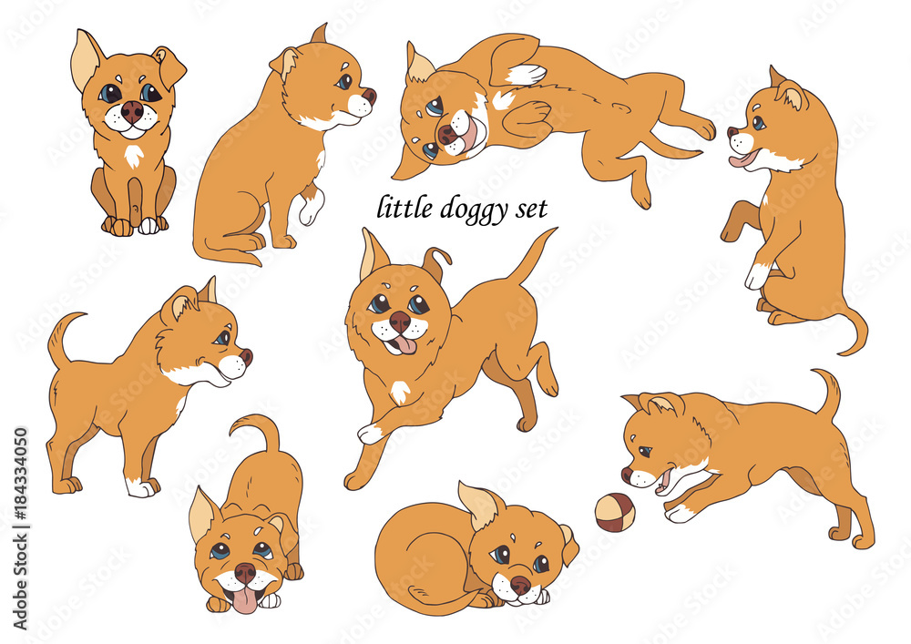 cute little dog in different poses set, vector illustration