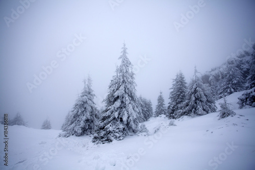 Trees covered with hoarfrost and snow in winter mountains - Christmas snowy backgroundic holiday background © erika8213