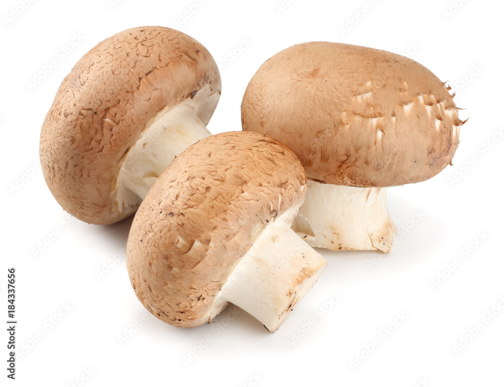 Fresh champignon mushrooms isolated on white background. top view Fresh champignon mushrooms isolated on white background. top view