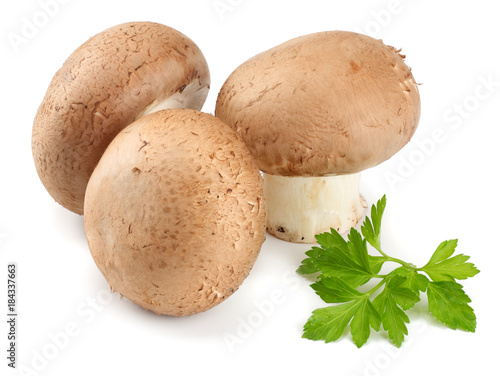 Fresh champignon mushrooms with parsley isolated on white background. top view