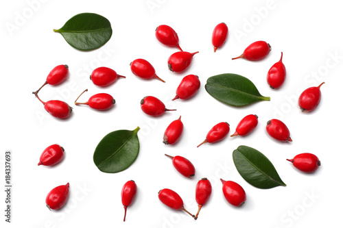 fresh barberry isolated on a white background top view