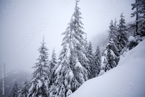 Trees covered with hoarfrost and snow in winter mountains - Christmas snowy backgroundic holiday background