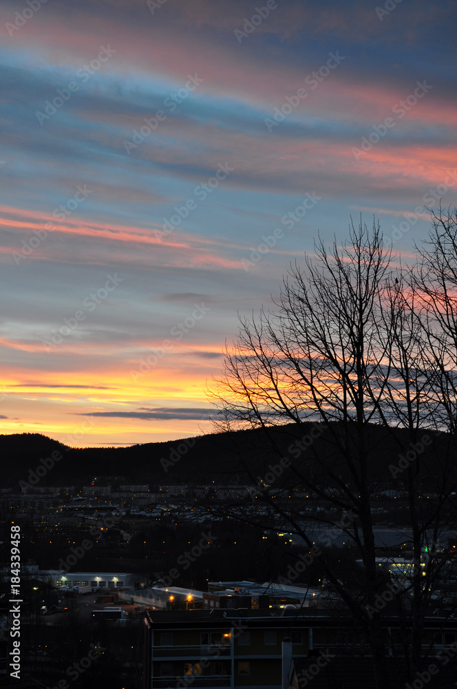 Colorful clouds and tree at sunset over Oslo.