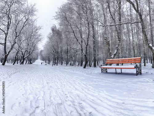 Park bench and trees covered by heavy snow