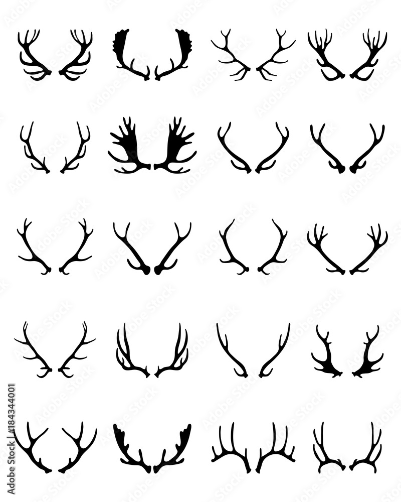 Black silhouettes of different deer horns on a white background Black silhouettes of different deer horns on a white background