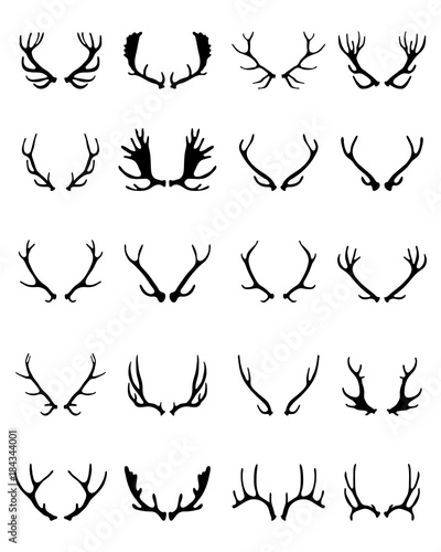 Black silhouettes of different deer horns on a white background