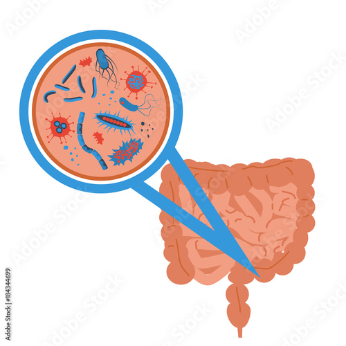 intestinal flora sign