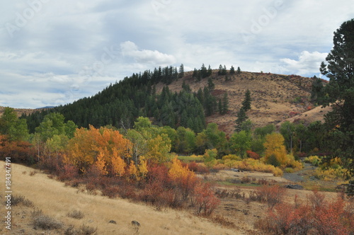 Fall color in the Idaho mountains