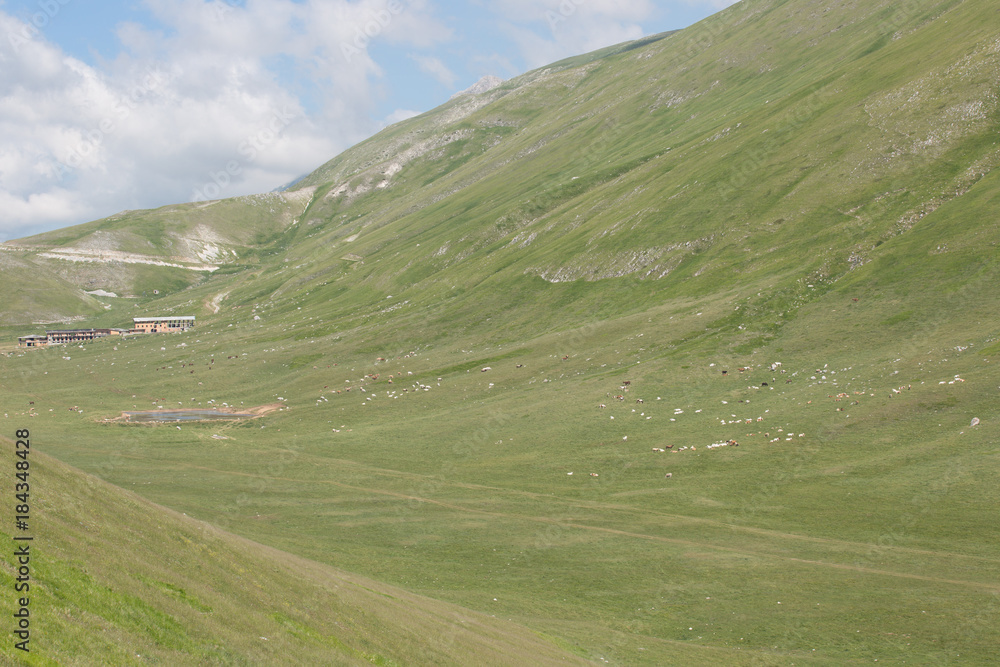 Mountain pasture, valley at Monte San Gregorio di Paganica, National Park  Gran Sasso and Monti della Laga