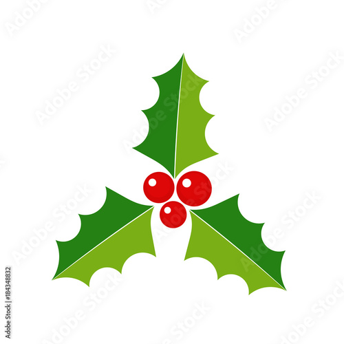 Christmas holly icon