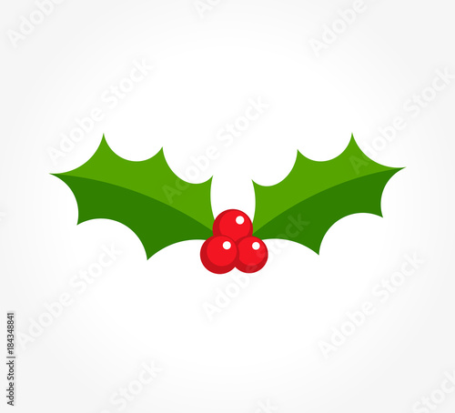 Winter berry holly icon