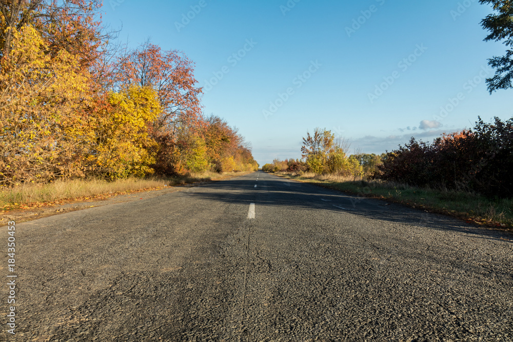 Fototapeta premium Empty autumn road along golden winter wheat fields at sunset