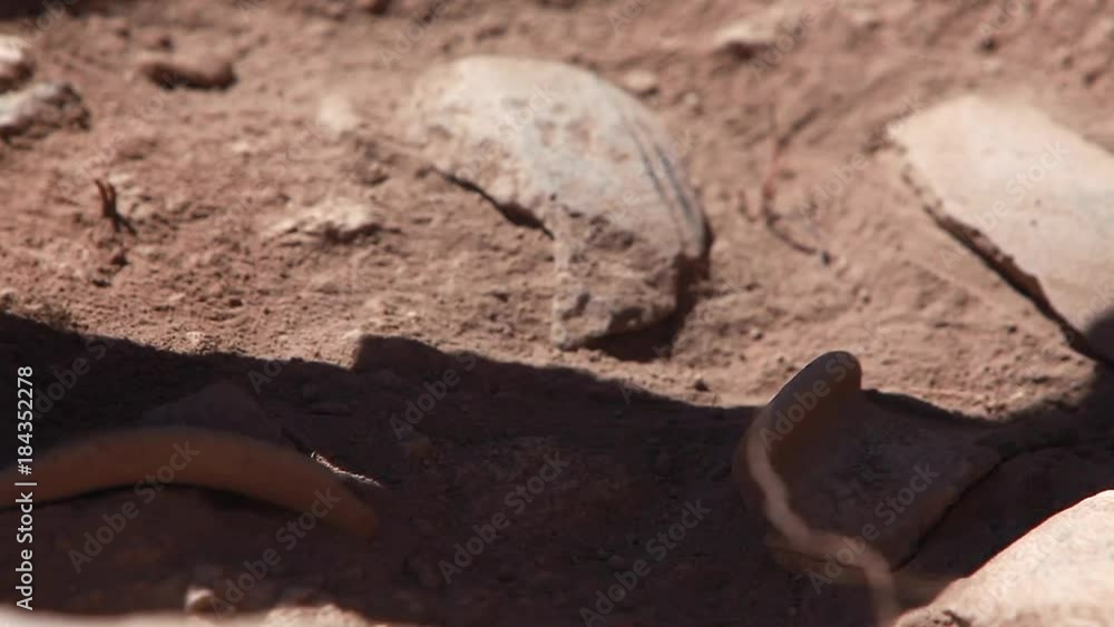 Archaeologist, excavations in middle east, archaeological dig Archaeologist, excavations in middle east, archaeological dig