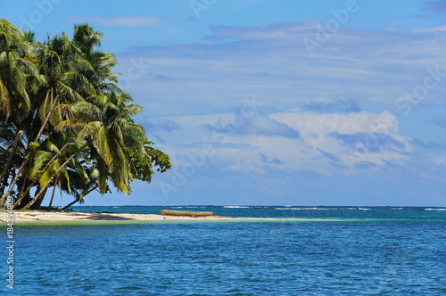 Tropical island with leaning coconut palm trees and a wooden dugout canoe on the beach  Caribbean sea  Bocas del Toro  Panama  Central America