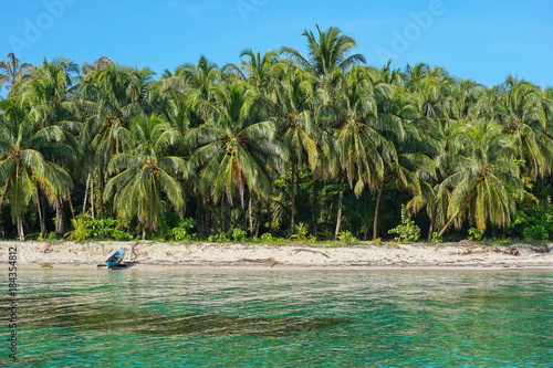 Lush tropical beach with coconut palm trees and a wooden dugout canoe on the sand  Caribbean sea  Bocas del Toro  Panama  Central America